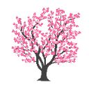 Sakura Japan Cherry Blossom Theme 🌸